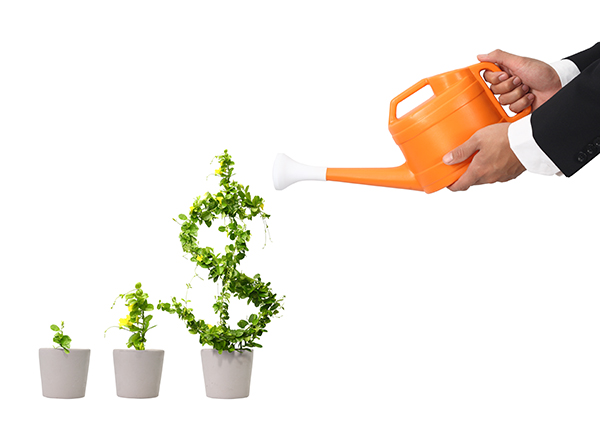 Forex ile Online Borsa İşlemleri ve Yatırım